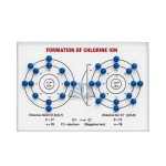 Formation of Chlorine Ion Model